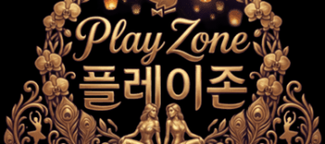 플레이존