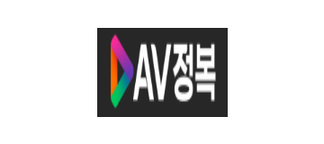 AV정복