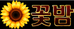 꽃밤